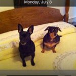 Profile Picture of Deborah Creech (@nanaoftwoboys) on Instagram