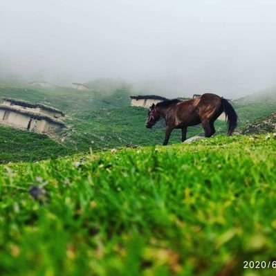 Profile Picture of Raj Malik (@rajmalik262262) on Twitter