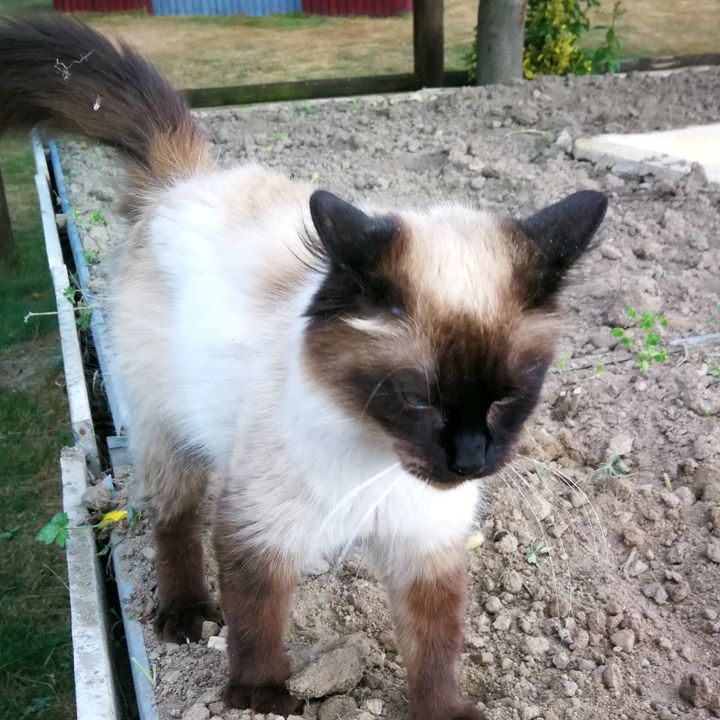 Profile Picture of 💕Audrey 💕 (@audrey.bert) on Tiktok