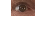 Profile Picture of Dennis Thompson (@mangawhai) on Flickr