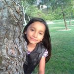 Profile Picture of Amanda Guardado (@guardado_amanda) on Instagram