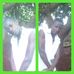 Profile Picture of David Kahos (Gacucu) (@david.kahos.9) on Facebook