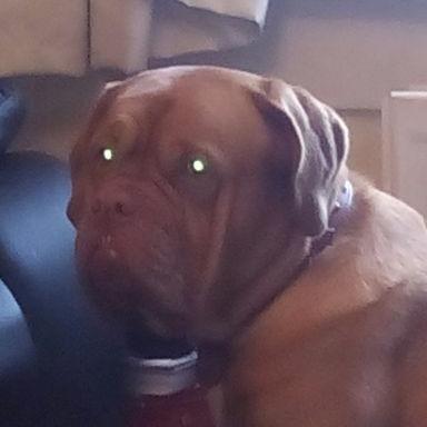 Profile Picture of Thomas Wardlaw (@tamee31165) on Twitter