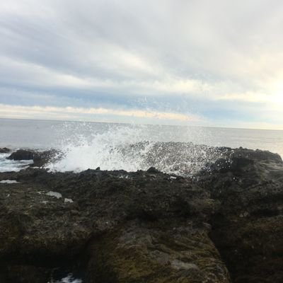 Profile Picture of Michael Wilkening (@MichaelWilkeni5) on Twitter