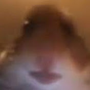 Profile Picture of Craig Flores Armas (@craigfloresarmas4946) on Youtube