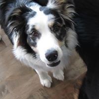 Profile Picture of David Linnell (@david-linnell) on Quora