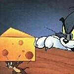 Profile Picture of huihui (@andrew_rothschild) on Instagram