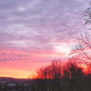 Profile Picture of dottiecox3 (@mema4608) on Tiktok