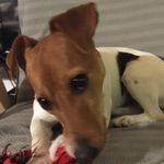 Profile Picture of Janek Twardowski (@twardowski.janek) on Instagram