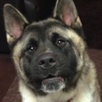 Profile Picture of Lisa Harman (@harman1373) on Instagram