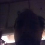 Profile Picture of Stephen Dahling (@stephendahling) on Instagram