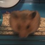 Profile Picture of Michael Piasecki (@mpixisticks.gram) on Instagram