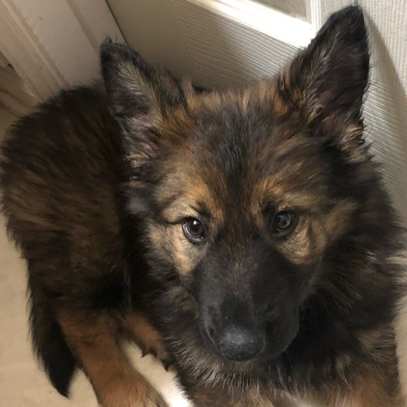 Profile Picture of Richard Wimmer (@richard_wimmer) on Poshmark