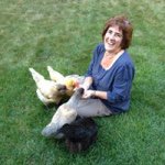 Profile Picture of Lisa LaBossiere MacMillan (@mammawolf143) on Instagram