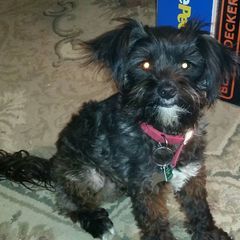 Profile Picture of Michael Buentello (@michael.buentello6) on Tiktok