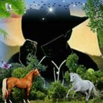 Profile Picture of Juvenal Ramirez (@juvenal.ramirez.7902) on Instagram