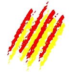 Profile Picture of Liam McBurney (@razorpix) on Instagram