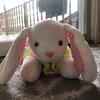 Profile Picture of Bella_Bunny (@bchiaramonte) on Tiktok