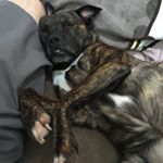 Profile Picture of Josh Kozar (@jkozar86) on Instagram