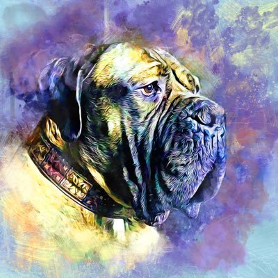 Profile Picture of Brandon Inlow (@BuffaloBrando) on Twitter