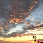 Christopher Tannler - Instagram Profile Picture of Christopher Tannler (@livingthedream3) on Instagram