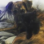 Profile Picture of Jax & Opie Breese-McLain (@opie_and_jaxx) on Instagram