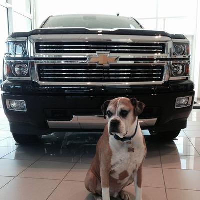 Profile Picture of Randy Bowen Chevy (@randybowenchevy) on Twitter