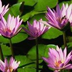 Profile Picture of Janet Kerr (@janet.kerr.940) on Instagram