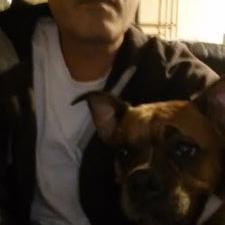 Profile Picture of Scott Lavin (@myleslavin) on Twitter