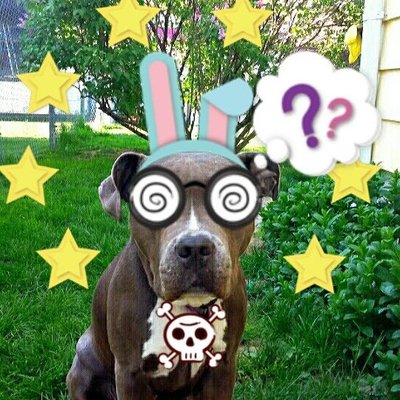 Profile Picture of Glenn Kolb (@GlennKolb3) on Twitter