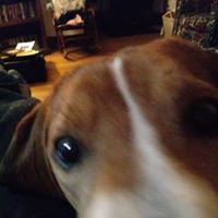 Profile Picture of Jason Visser (@jason-visser-11) on Quora