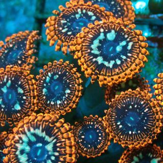 Profile Picture of Leonard Brownley Jr. (@leonard.brownley) on Facebook