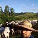 Profile Picture of Itamar Da Silva (@itamar.dasilva.940098) on Facebook