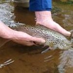 Profile Picture of Robert Ormond (@robert.ormond) on Instagram