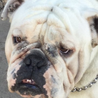 Profile Picture of Bobby Villarreal (@Bobby031234) on Twitter