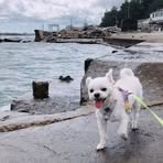 Profile Picture of Scott Miller (@Scott-Miller) on Facebook