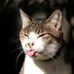 Profile Picture of Nicholas Lihan (@nicholas.lihan.5) on Facebook