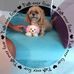 Profile Picture of Sherry Lynn Doty Duncan (@sherry.l.duncan.9) on Facebook