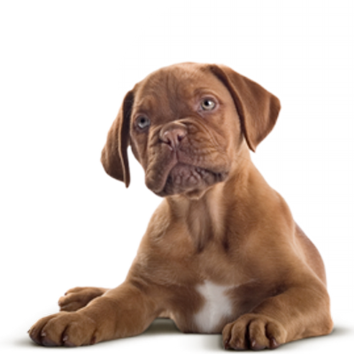 Profile Picture of Jason Mead (@jasonmead4) on Twitter