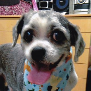 Profile Picture of Shelley Hodgson (@Shelley-Hodgson) on Facebook