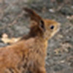 Profile Picture of Terrytet (@terrytet) on Flickr