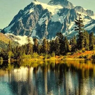 Profile Picture of Nawal Ahmed (@nawalahmed906) on Twitter