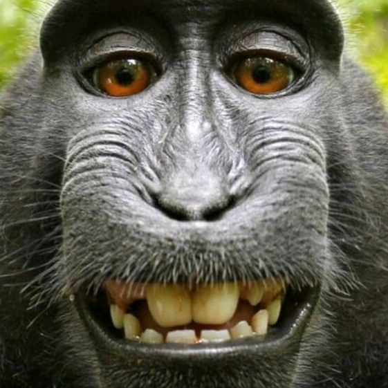 Profile Picture of Adam Rak (@adam.rak2) on Tiktok