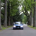 Profile Picture of Pat Curry (@snowbirdf30) on Instagram