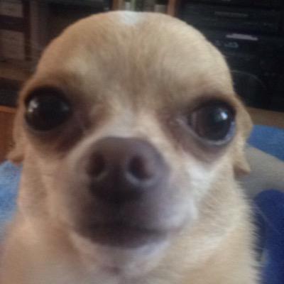 Profile Picture of Otcho (@JeffreyDurocher) on Twitter