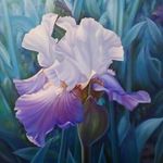 Profile Picture of Barb Hamann Halverson (@barbhalv11) on Instagram