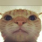 Profile Picture of ♤♡◇♧ (@aaron_rodriguez_machado) on Instagram