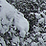 Profile Picture of Valley1526 (@valley1526) on Flickr