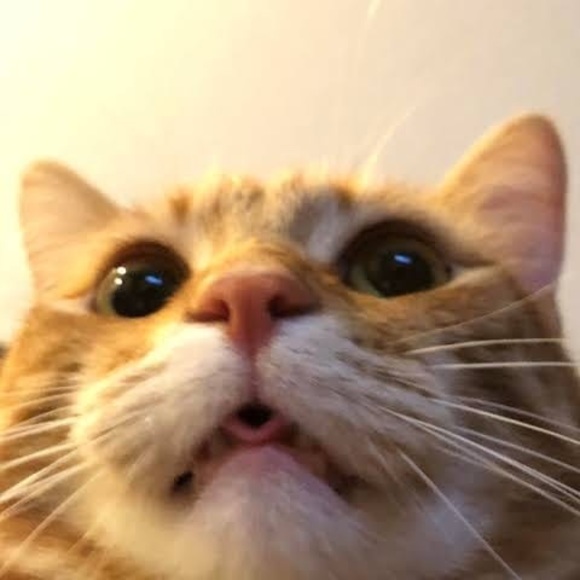 Gilmor Caballero - Poshmark Profile Picture of Gilmor Caballero (@gifted_son17) on Poshmark