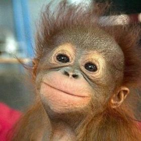 Profile Picture of Manuel Enrique Marquez Cortez (@manuelenriquema) on Pinterest